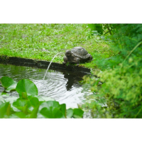 Ubbink Wasserspeier Schildkröte